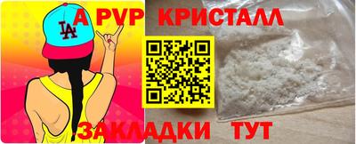 хмурый Кингисепп