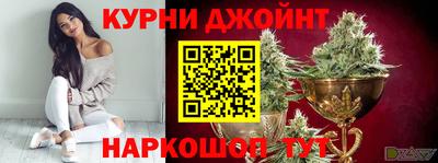 хмурый Кингисепп