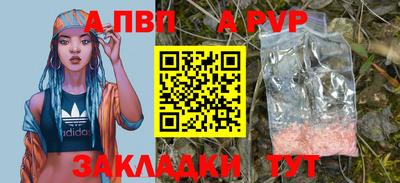 хмурый Кингисепп