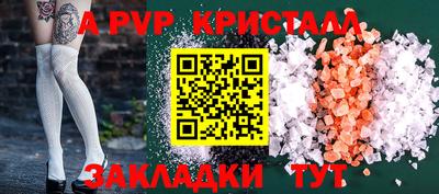 хмурый Кингисепп