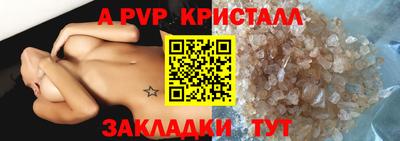 хмурый Кингисепп