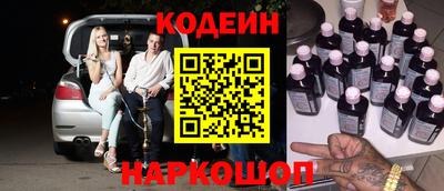 хмурый Кингисепп